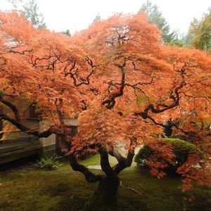 Everything past this point is sold